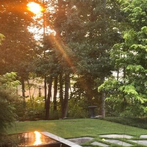 Meet your Posher, Mollee